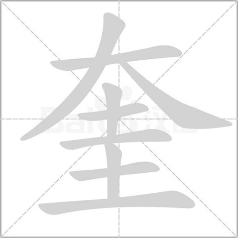 奎 意思|奎（汉语文字）